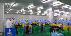 笼盖从农田到餐桌各环节